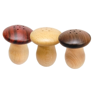 Træsvampe-tandstikholder i forskellige farver